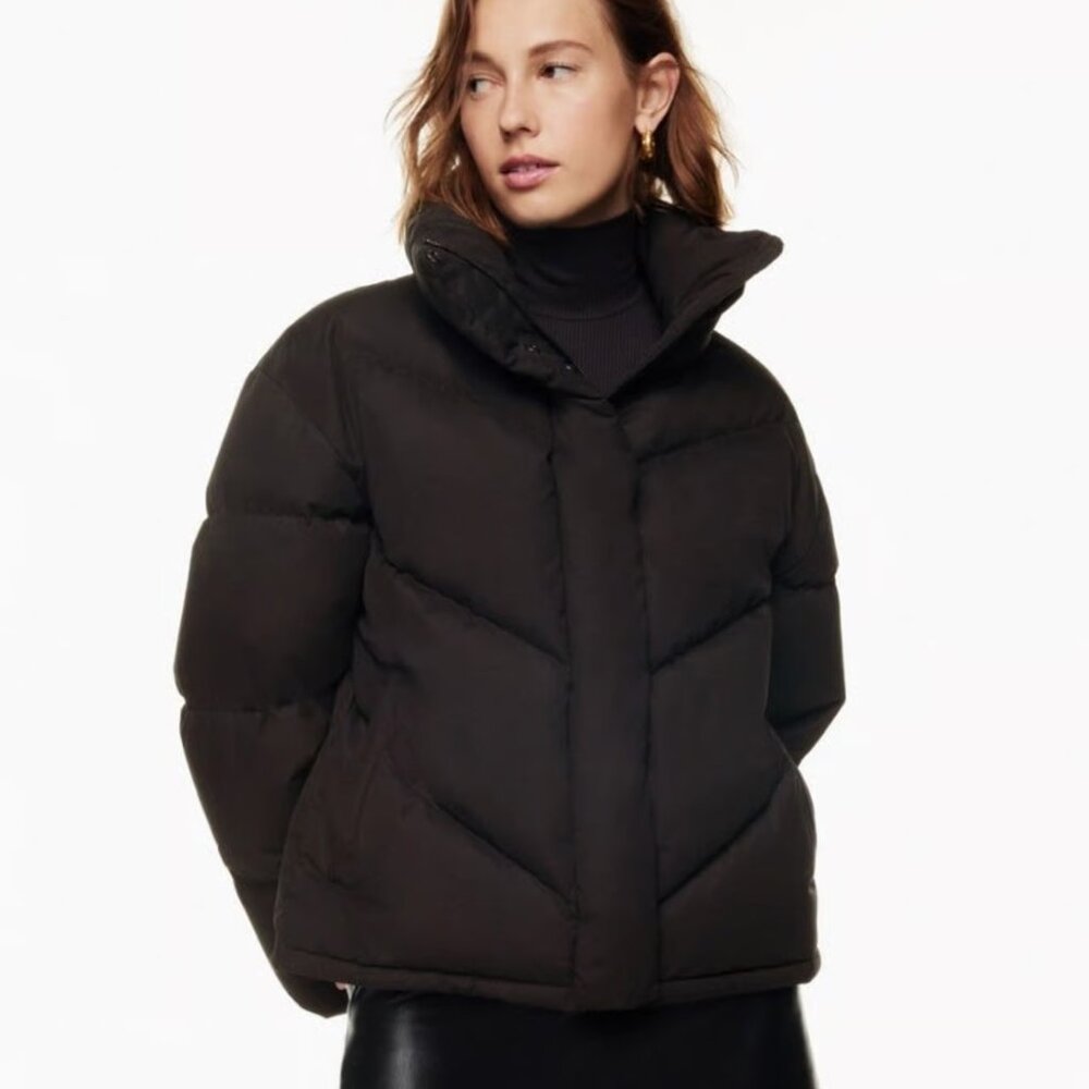 Aritzia the Cloud Puff Goose Down Puffer Jacket